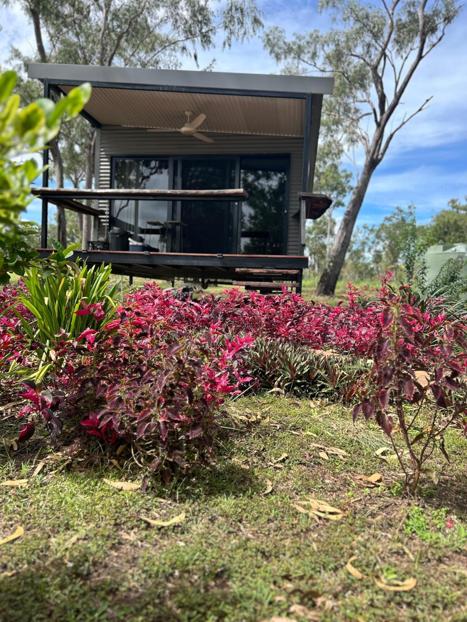 Litchfield Tropical Stay Batchelor Exterior foto